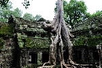 Angkor